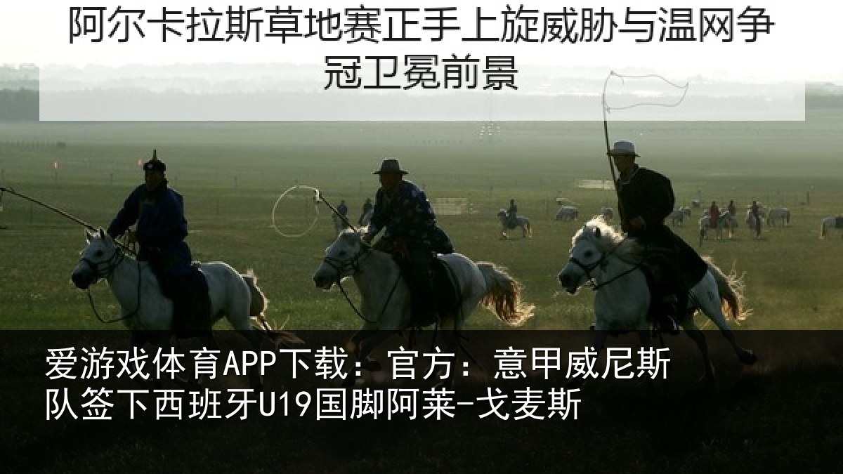 爱游戏体育APP下载:官方:意甲威尼斯队签相关情况-戈麦斯