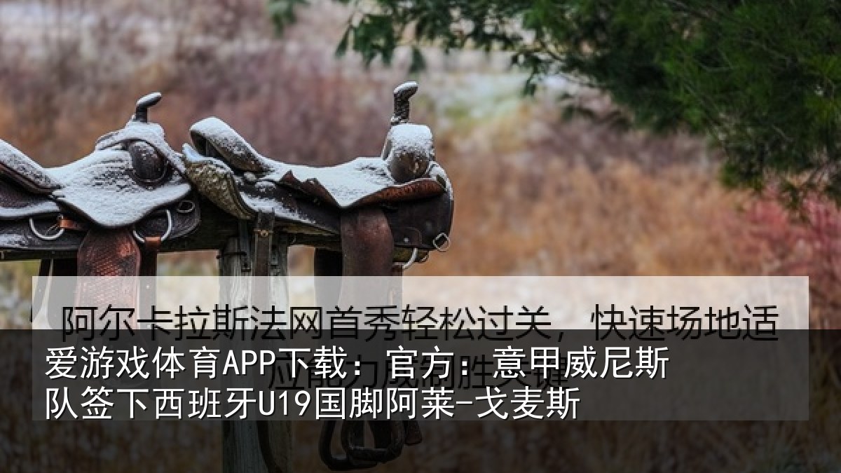 爱游戏体育APP下载：官方：意甲威尼斯队签下西班牙U19国脚阿莱-戈麦斯