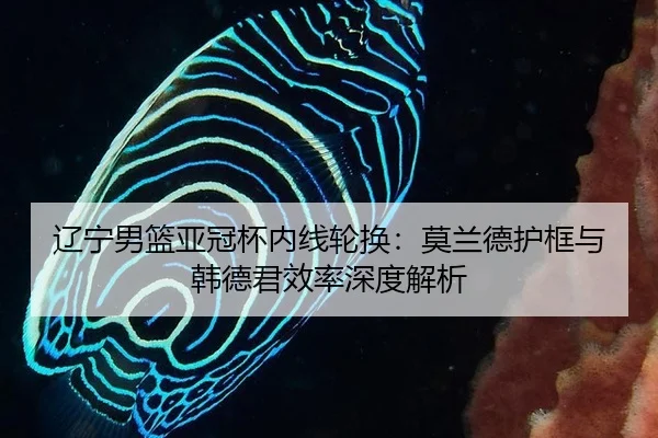 liao-ning-nan-lan-ya-guan-bei-nei-xian-lun-huan-mo-lan-de-hu-kuang-yu-han-de-jun-xiao-lv-shen-du-jie-xi-3-271.jpg