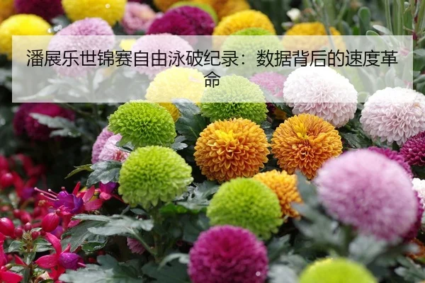 潘展乐世锦赛自由泳破纪录：数据背后的速度革命