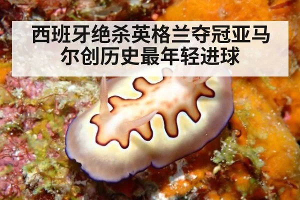 西班牙绝杀英格兰夺冠亚马尔创历史最年轻进球